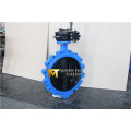 Worm Gear Lugged Butterfly Valve